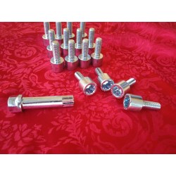 bolt 16 pcs Kit M10x1.5x24mm Fiat 500 flat